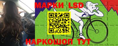 прущие крисы Гай