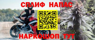 mdpv Гатчина