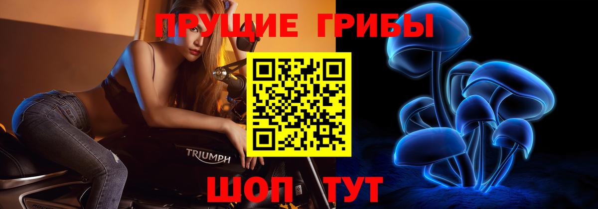 Галлюциногенные грибы GOLDEN TEACHER  хочу наркоту  Мытищи  Вход с VPN 